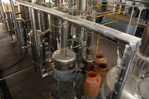Suplemento de alimentos descafeinado polvo de <span class=keywords><strong>extracto</strong></span> de té <span class=keywords><strong>verde</strong></span> - Product Image 2