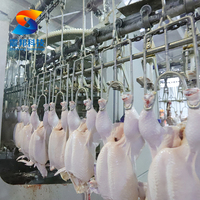 Plumeuse rotative ZB pour abattoir, pour l'épluchage des plumes et le choc thermique des poulets