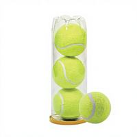 Balle de tennis pressurisée BTYP WQ-02 professionnelle hautement élastique - Prix usine, facile à contrôler pour l'entraînement sportif