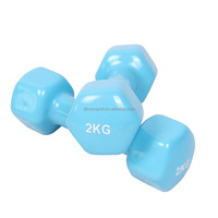Haltères hexagonaux en néoprène avec logo personnalisé pour la musculation à domicile, support d'haltères, entraînement des hanches et du dos - Légers
