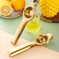 Presse-agrumes manuel en acier inoxydable pour citron, outils de cuisine avec boîte gratuite