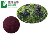 Europese Zwarte Vlierbessen Extract Poeder Fruit Zwarte Vlier 25% Anthocyanidins