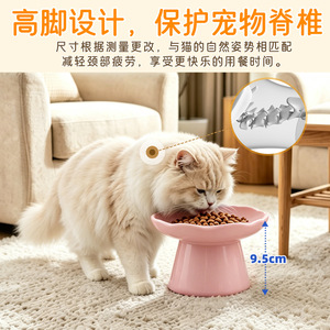 Bol en céramique pour chat, 6 pouces, extra large, à bouche peu profonde, design surélevé pour chats - Product Image 2