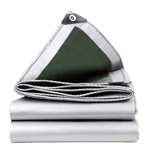 Bâche PE non tissée enduite argentée <span class=keywords><strong>verte</strong></span> 180 GSM 2m x 3m anti-UV pour plantes <span class=keywords><strong>de</strong></span> jardin, abri <span class=keywords><strong>de</strong></span> jardin, tente, housse <span class=keywords><strong>de</strong></span> chaise, imperméable - Product Image 1