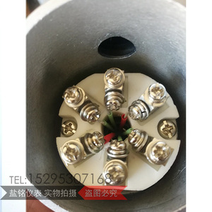 Salt Inscription Pt100 Temperature Sensor Wzpk Six Wire Screw Terminal For Batching Plants - Product Image 1