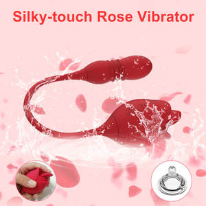 USA vendita calda donne massaggio vaginale stimolatore clitoride vibrare rosa giocattoli del sesso per la masturbazione femminile - Product Image 5