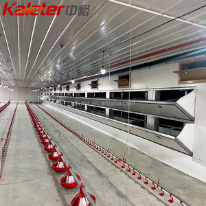 Sistema de Alimentación Automático para Pollos Zhongyu Kaleter, Línea de Comederos para Gallineros, Venta de Equipos para Granjas Avícolas de Cría Libre - Product Image 1