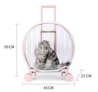 Valise transparente pour animaux de compagnie en PC grande capacité, respirante, imperméable, pour chat et chien, poussette portable pour extérieur