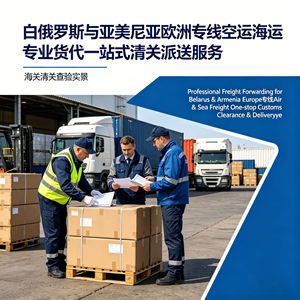 Zhonglong International Freight Forwarding : Services de Fret Aérien, Maritime et Ferroviaire pour l'Europe, l'Amérique du Nord et le Moyen-Orient, y compris les services de dédouanement. - Product Image 5