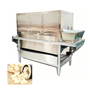 Machine à peler l'ail, ligne de production de poudre d'ail - Product Image 6