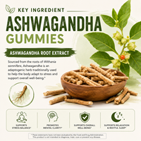 Gummies d'ashwagandha à faible teneur en sucre 300mg quotidiennement Adaptogène Calme et concentration Halal ISO HACCP COA Sachet Faible MOQ Prêt à expédier OEM Marque privée