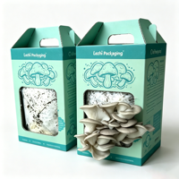 Coffrets cadeaux écologiques pour kits de culture de champignons, boîtes d'emballage biodégradables en papier pour la culture de champignons