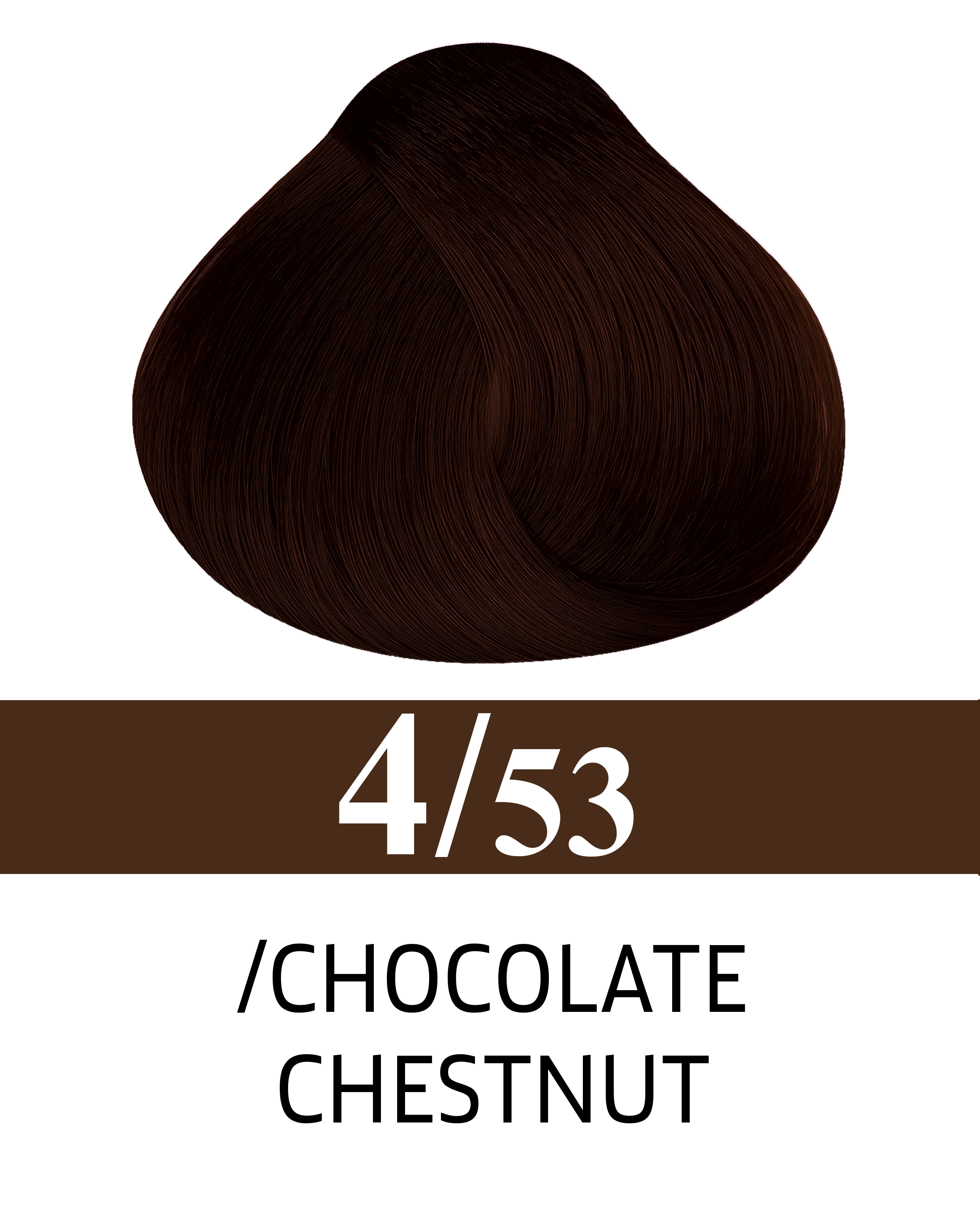 4/53 Châtaigne au chocolat