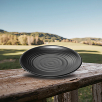 Assiettes de présentation modernes en mélamine noire, design personnalisé, durables, pour fêtes, mariages, camping d'automne