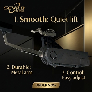 Mecanismo Eléctrico de Elevación Vertical en Ángulo Recto con Soporte de <span class=keywords><strong>Bisagra</strong></span> Oscilante - Product Image 6