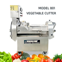 Nieuwe Elektrische Industriële Voedsel Weegbree Vegetarische Chips Fruit Groente Chopper Snijmachine Snijmachine Snijmachine