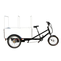 Tricycle électrique à pédales robuste 48V 850W à 3 roues pour livraison express, vélo électrique, semi-camion