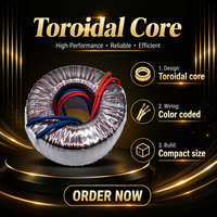 Transformateur toroïdal 250VA 220V vers 110V, transformateur de puissance toroïdal abaisseur de tension pour alimentation d'amplificateur audio HiFi