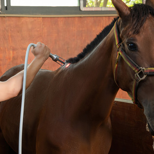 Dispositivo Láser Portátil <span class=keywords><strong>de</strong></span> Fisioterapia para Animales <span class=keywords><strong>de</strong></span> 10w-30w, Clase 4, 810nm 980nm, para Lesiones e Inflamaciones en Mascotas - Product Image 6