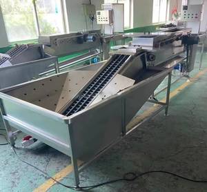 Máquina Motorizada de Acero Inoxidable para Lavar y Secar Huevos con Capacidad de 500 Piezas/min para Fábricas de Alimentos y Servicios de Catering Comercial - Product Image 4