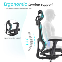 Milieu Du Dos Support Lombaire Fauteuil Visiteur Personnel De Travail Exécutif Ergonomique Chaise De Bureau