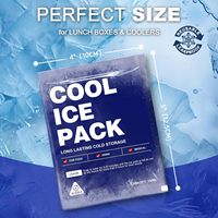 Packs de glace sèche personnalisés avec logo pour aliments, portables et jetables, et packs de glace en gel avec logo personnalisé pour aliments congelés