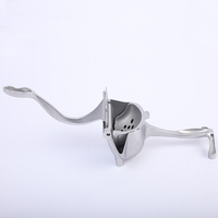 Presse-fruits manuel en aluminium, presse-citron Portable