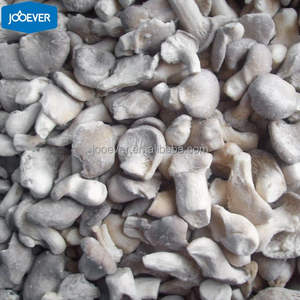 Cina HACCP BRC <span class=keywords><strong>IQF</strong></span> prodotto a base di funghi ostrica per neonati congelato - Product Image 6