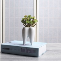 Mini pot de fleurs succulentes en céramique blanche moderne pour la décoration intérieure créative émaillée sans trou pour les petites plantes pour le sol du jardin