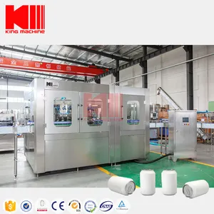 Small Scale Gas Drink Can Filler Craft Beer Can Filing Line Cans Washing Filling Sealing Machine