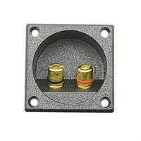 Boîtier de jonction pour amplificateur à deux bornes, avec connecteurs banane et joint d'étanchéité, bornes en cuivre pur, Jinfeng WP2-27, accessoires audio