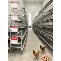 Cages à volailles de style H entièrement assemblées pour poules pondeuses, avec perchoirs réglables et plateaux de nidification inclinés