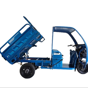 Triciclo Eléctrico de Carga Elion S11200W de 3 Ruedas con Techo, Nuevo Producto en Venta Caliente en China, Directo de Fábrica, con Certificación EEC - Product Image 1
