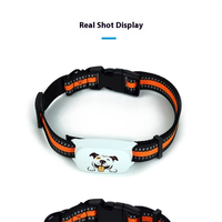 Pelacak Hewan Peliharaan GPS Bluetooth 4G Real-Time Terlaris Tahan Air IP67 Plastik Geofence Android & IOS untuk Anjing Kucing Garansi 1 Tahun