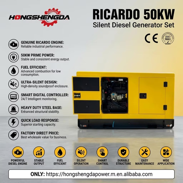 Prime Ricardo 50kw 62kva Diesel Generator Silent Soundproof Canopy 3 Phase Water Cooled Brushless Automatic ATS Power Genset