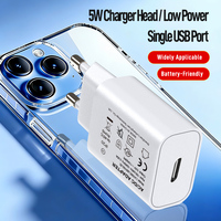 Pengisi Daya Dinding Listrik USB Type-C Shenzhen Lvxiangyuan 5V 1A 5W Colokan EU Bersertifikasi CE Perlindungan OTP OVP Ramah Lingkungan