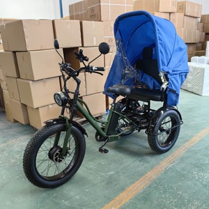 Vehículo de Transporte, Bicicleta de 3 Ruedas 2024, Triciclo con Neumáticos Anchos y Toldo - Product Image 1