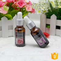 Vente en gros Huile essentielle d'aromathérapie biologique 100% pure Huile essentielle de lavande Coffret cadeau pour diffuseur Humidificateurs