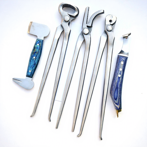 Professional Stainless Steel Farrier Tool Kit Nail <b>Puller</b> Hoof Nipper Hoof Buffer Hoof Knife Driving Hammer Horse Shoeing Tools - Product Image 1
