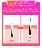 Poudre Naturelle Biologique Chebe pour la Croissance Capillaire, Soins Capillaires Chebe