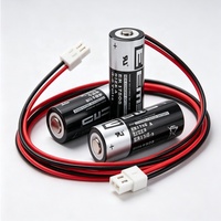 Batería Desechable de Iones de Litio No Recargable CKXIC ER17505, 6500mAh, 3.6V, Protección de Circuito, Montaje en Panel Térmico Magnético, 240A