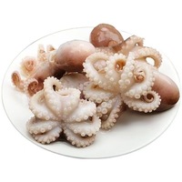 Poulpe Cuit Congelé BQF pour Congélation Rapide, Dédenté, Déveineux, Fruits de Mer en Gros, 26-60 pièces/lb, Certifié HACCP, Newchance