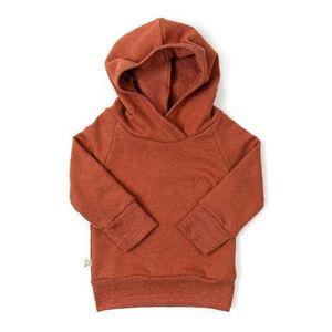 Wholesale Men's Autumn Hooded Custom Logo High Quality <b>Thick</b> <b>Fleece</b> Sport Pullover Sweatshirts - Product Image 3