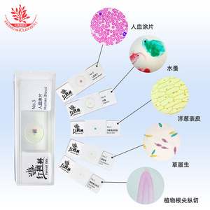 Ensemble de 5 objectifs de microscope pédagogiques (sections biologiques), petit ensemble dans une boîte transparente, accessoires de microscope typiques. - Product Image 2