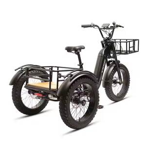 Triciclo Eléctrico de 20 Pulgadas con Motor de 48V 500W en la Rueda Trasera, Llanta Ancha de 20 x 4.0 Pulgadas, Modelo E TR03 - Product Image 2
