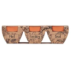 Maceta de terracota para plantas, accesorios ecológicos - Product Image 4