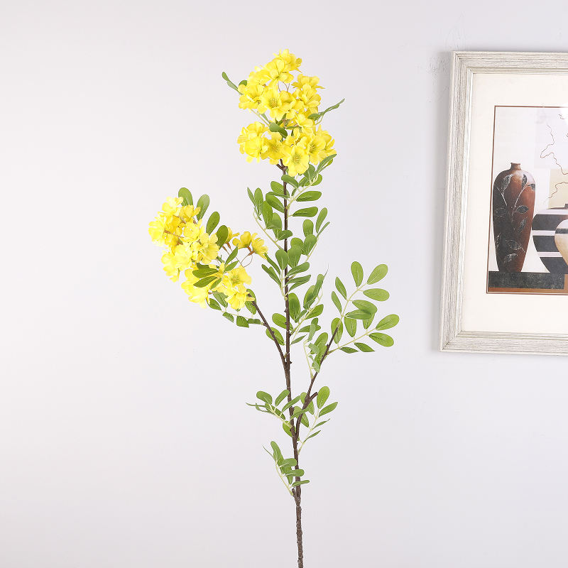 สีเหลือง