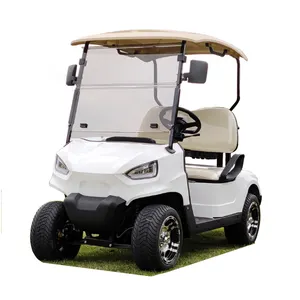 Ezgo-carrito de golf eléctrico de 72v, 5kW, 4x4, mini, 2 asientos, fabricantes