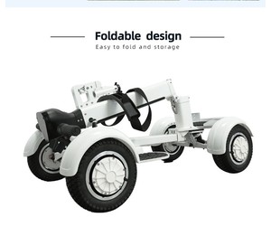 Voiturette de <span class=keywords><strong>golf</strong></span> électrique bon marché à 4 roues, 2000W 1600W, 20 km d'autonomie - Product Image 6