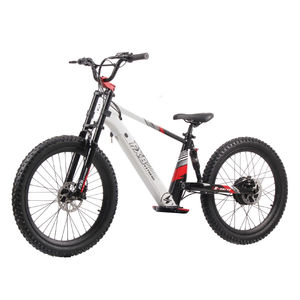 FXB 24 pouces 1200W 1500W hors route sans pédale vélo tout-terrain électrique pour enfants - Product Image 1